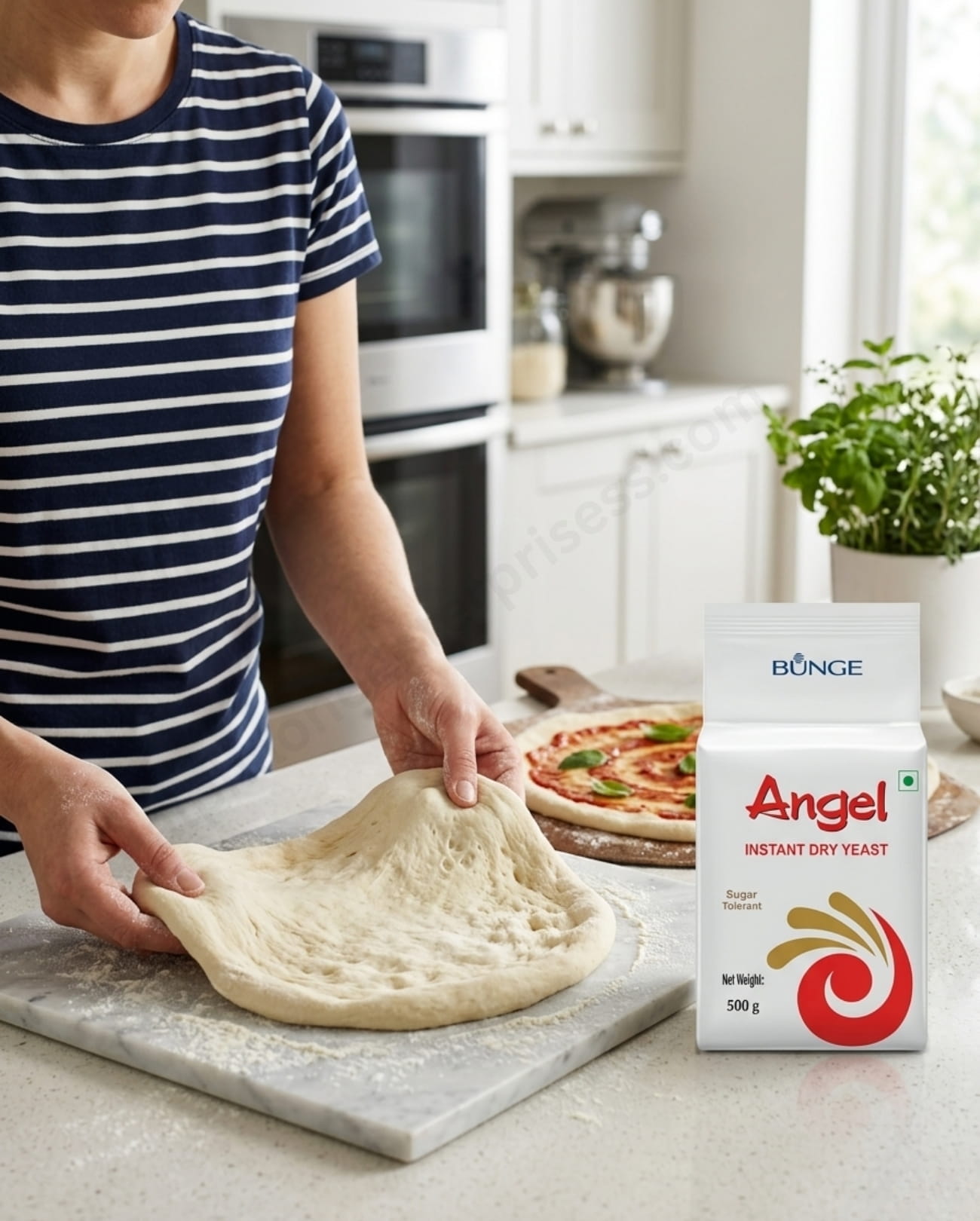 Angel Yeast <br> 500g