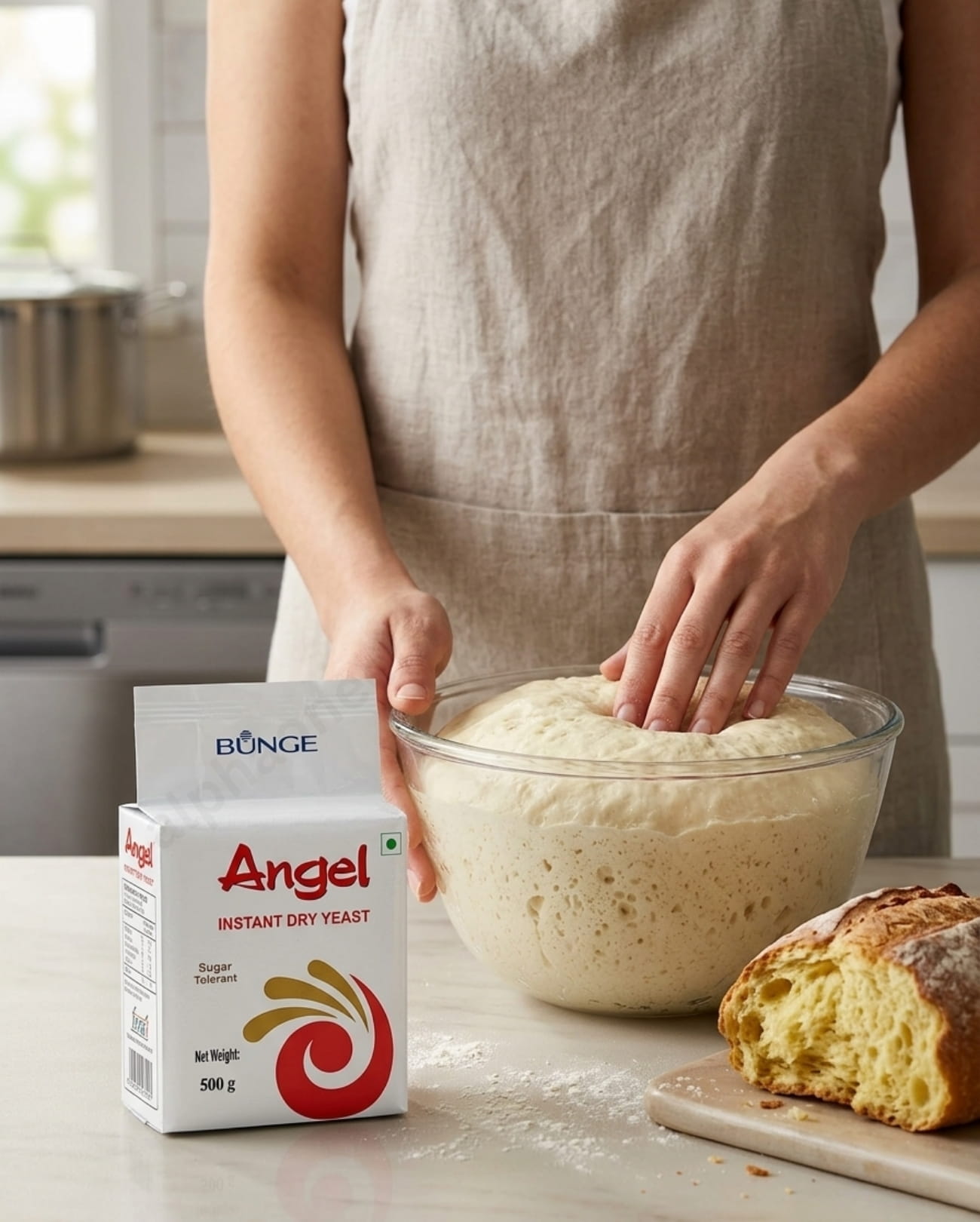 Angel Yeast <br> 500g